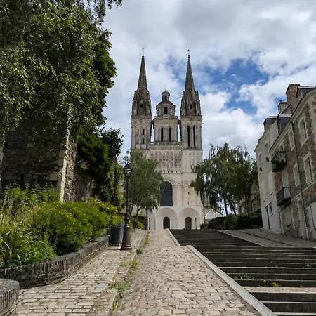 Là-haut - Wifi - Centre-ville * Angers