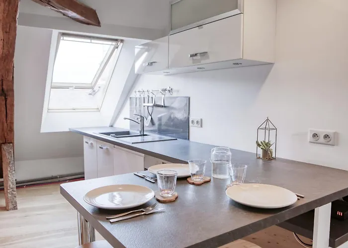 La-haut - Wifi - Centre-ville أنجير